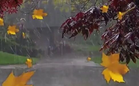 Осень сырая