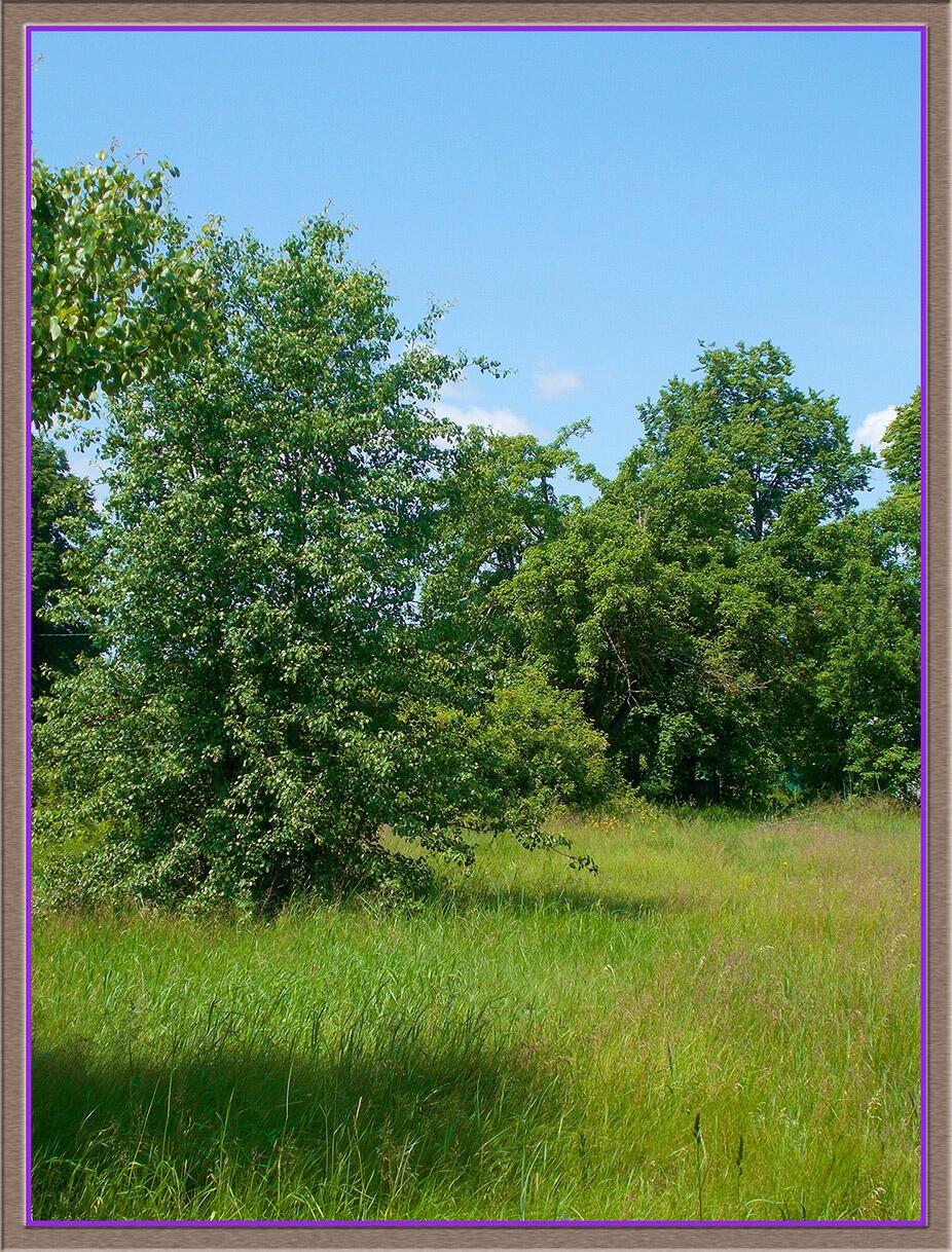 Дойшло ж аж прам до аникдот: