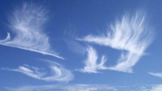 Сегодня в стаю облаков