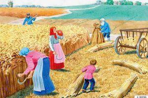 Евстигней-житник