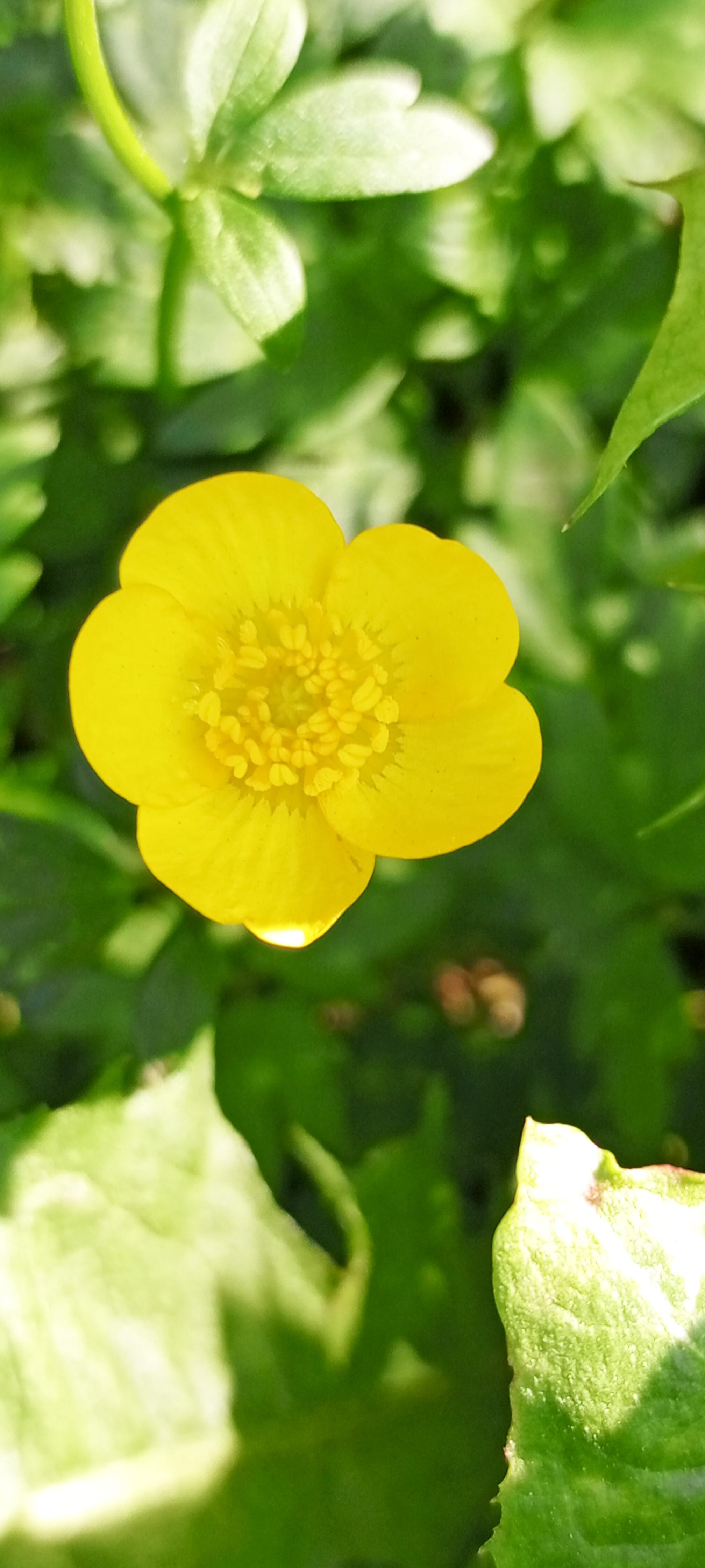 Время  стихов.