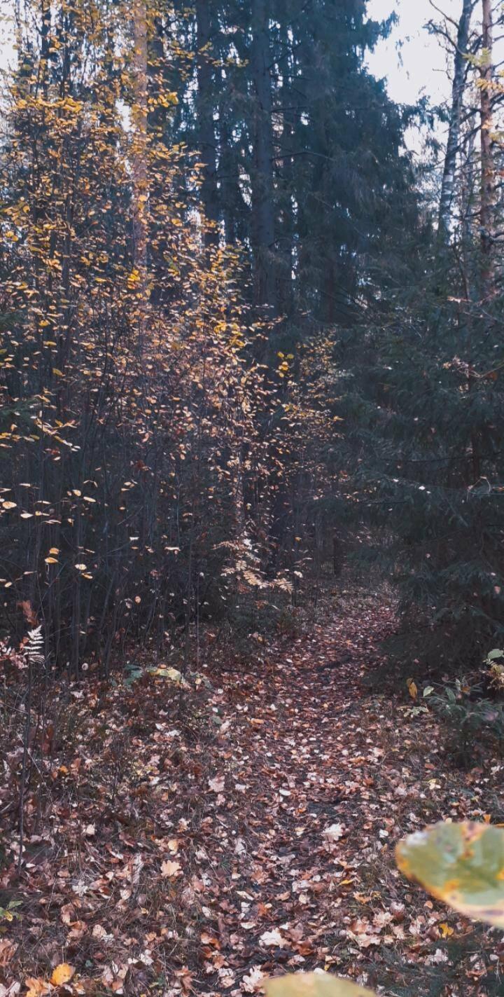 Сердце - любитель менять интерьер