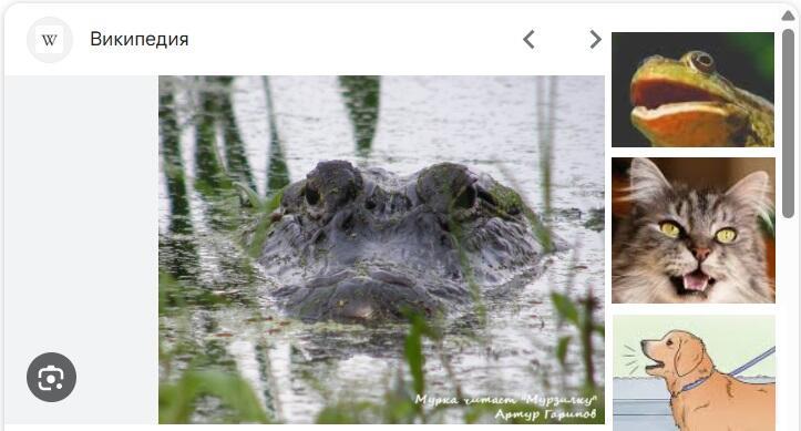 Мурка читает «Мурзилку»