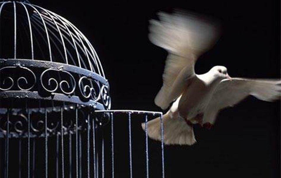 О,  СКОЛЬКО  ЛЕТ  ПОНАДОБИЛОСЬ  МНЕ...