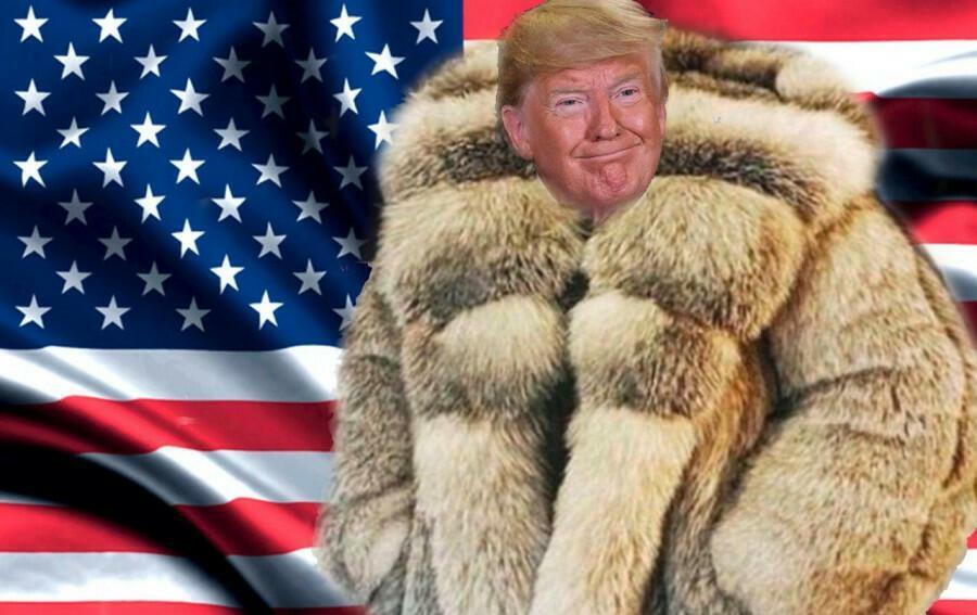 Взоры Трамп обратил на Гренландию