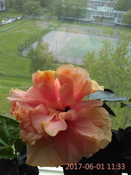 СОЛНЦЕ И ТЕПЛО