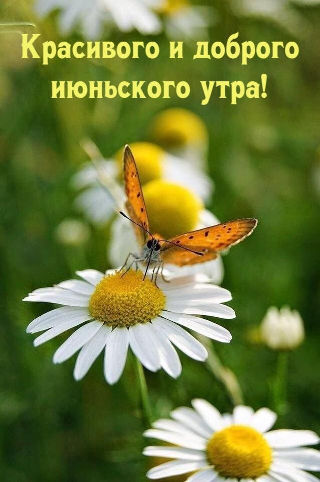 Разбег лета