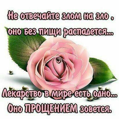 Мы все ругаем жизнь от 20. 09. 2016 