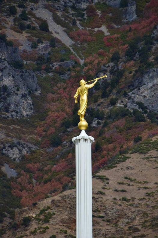 Каждый сам ответит за себя...  Сонет