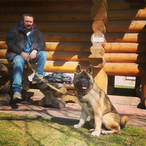 Апостол. Сон.