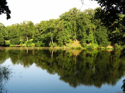 Рамбова - "Красный пруд"