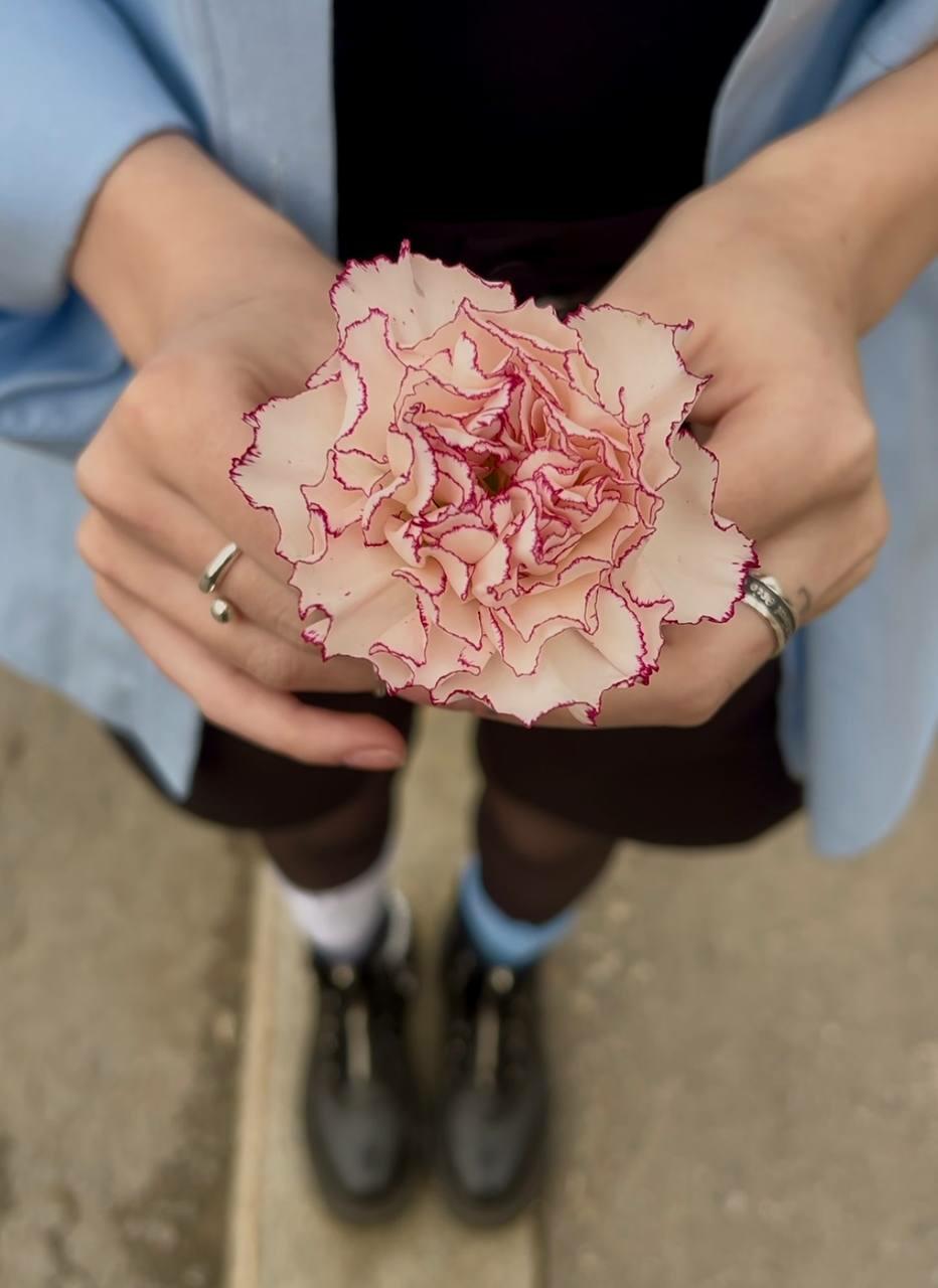 Так-так. Тук-Тук