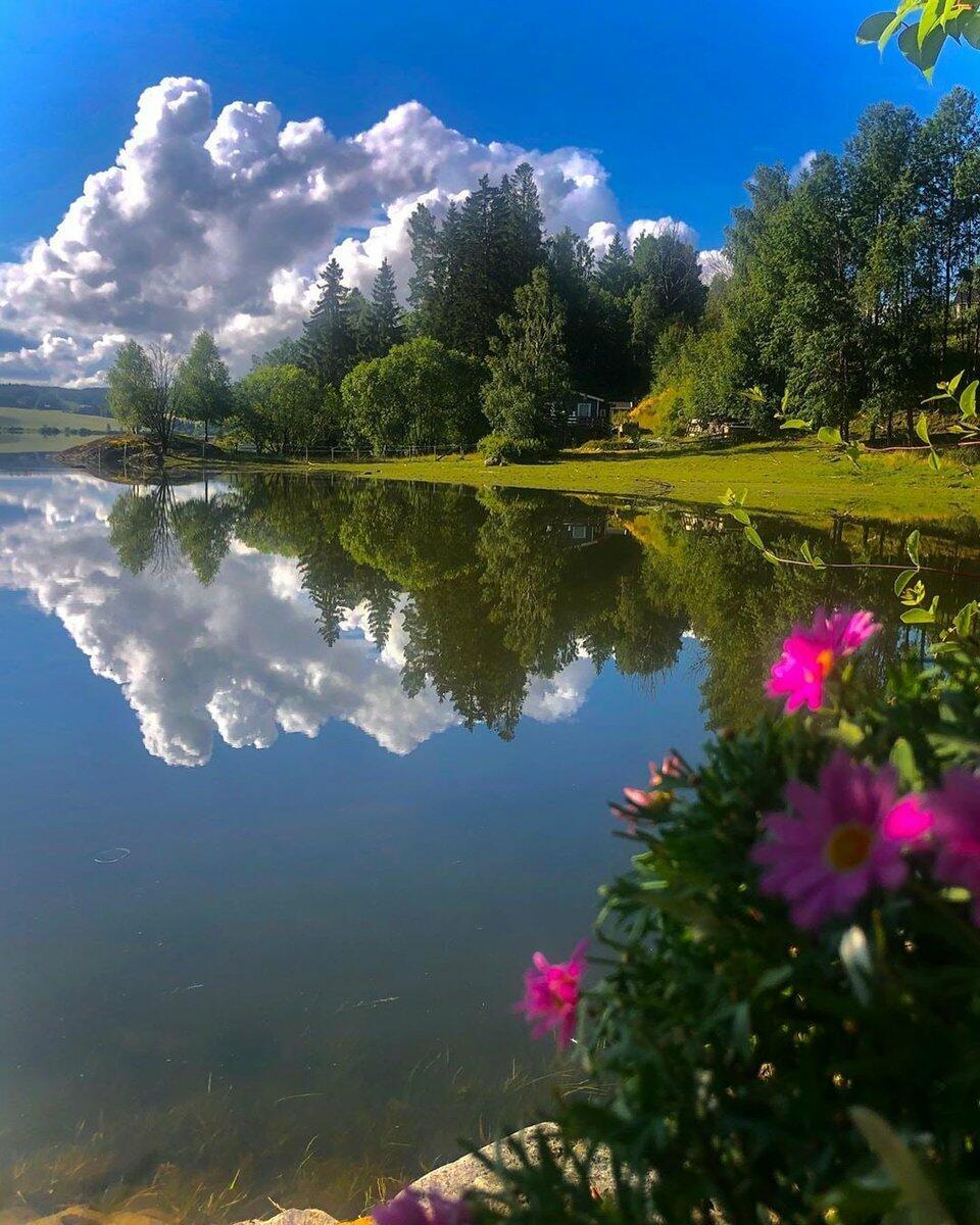 Тёплого лета венчанье 