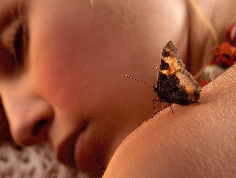 В ПОИСКАХ СЧАСТЬЯ….