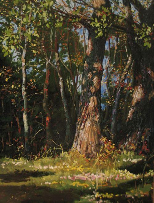 Я заходил в лес дремучий,