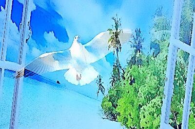 Сорваться бы...