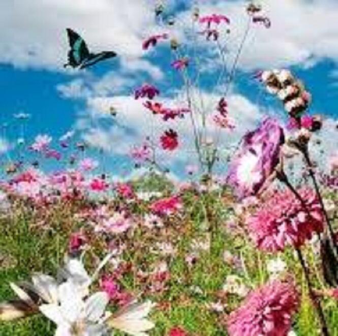 СТИХИ ДЕТЯМ_4