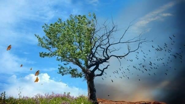 Закономерность