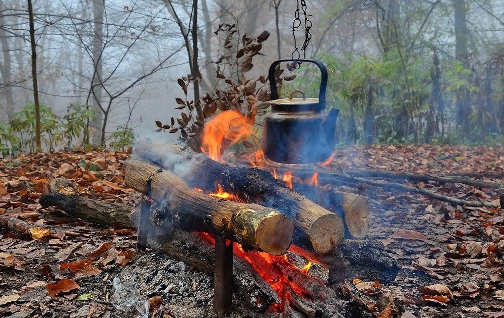 в жилище жизни круга