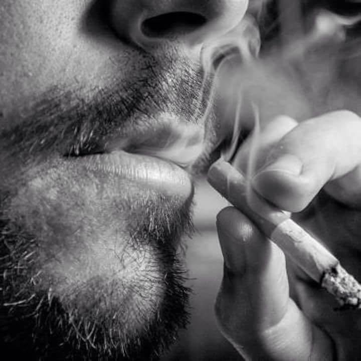 Ответ поэту - Медведь Белый - БЛИЦ