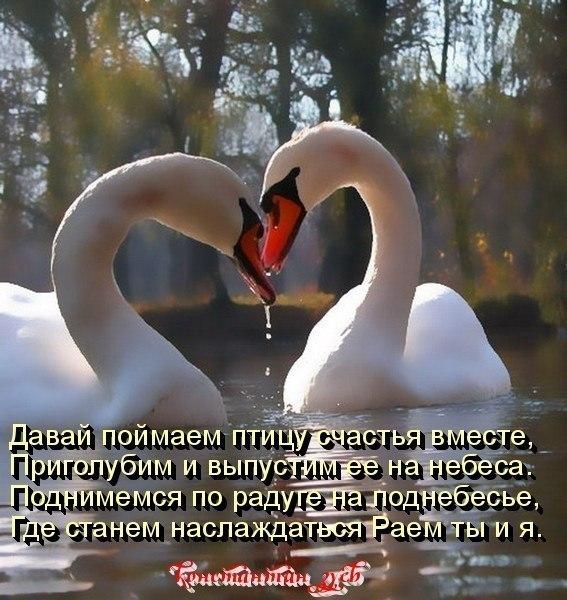 ПОЙМИ, НАДО БЫТЬ ВЫШЕ ЭТОГО...