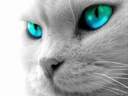 ЗА ЧТО МЕНЯ СКАЖЫ ТЫ ЛЮБИШ?