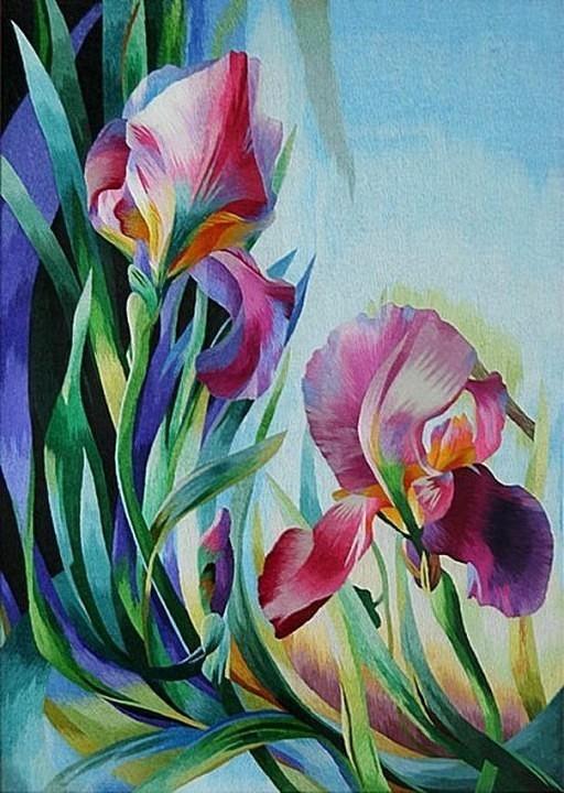 Ирисы
