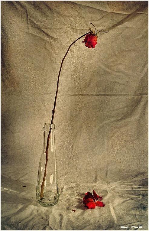 Милых сердцу не тронь!