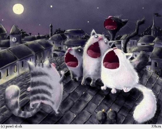 Счастье 28.08.07.