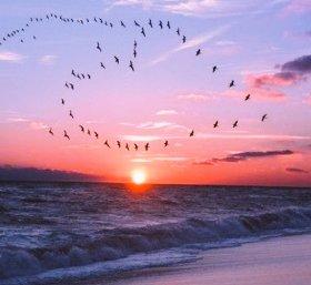 В момент высокого паренья...