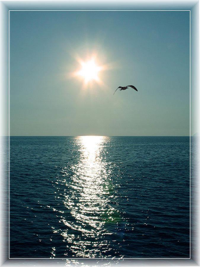 Ответ поэту - Олен Екатерина - А нарисуйте море