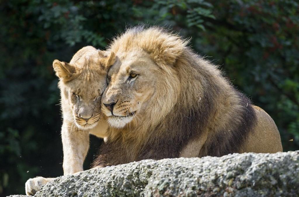 Уходил, и вновь я возвращался