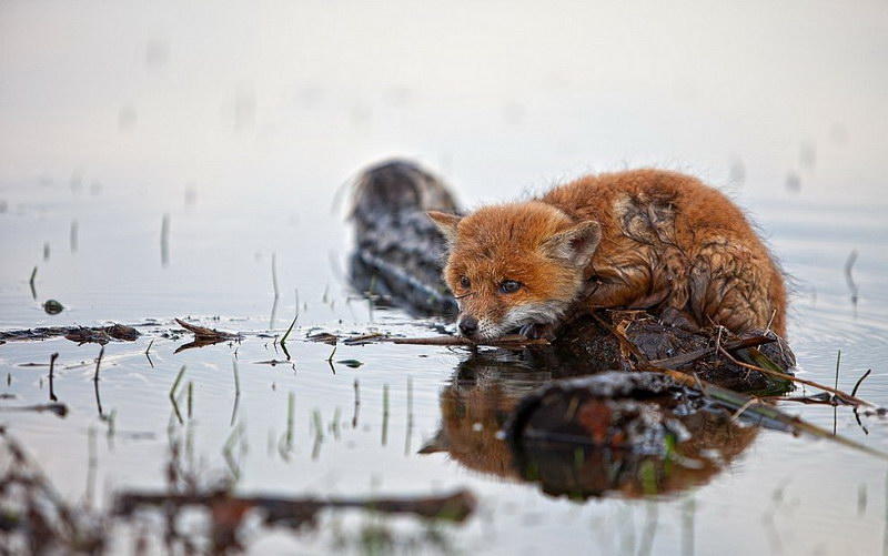 Наводнение