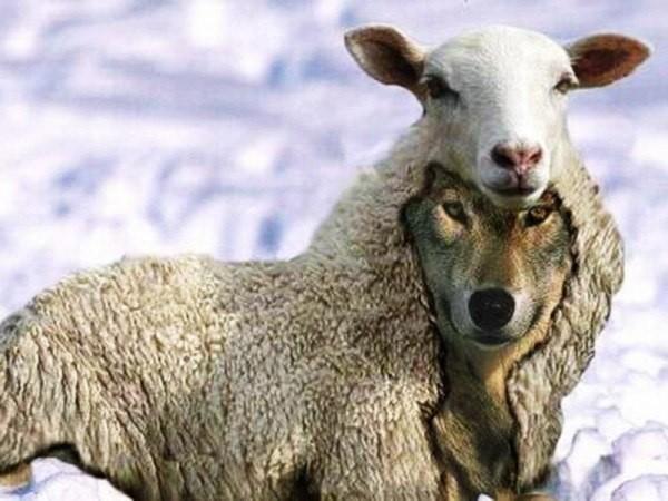 Зачем встречался?