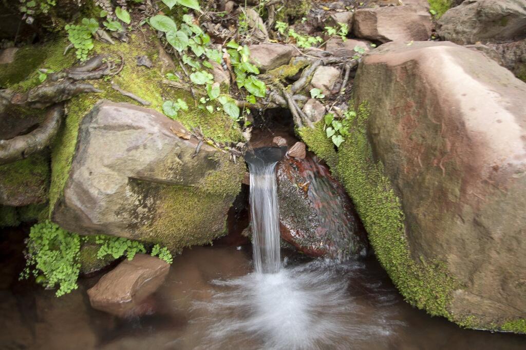 Загадки о роднике