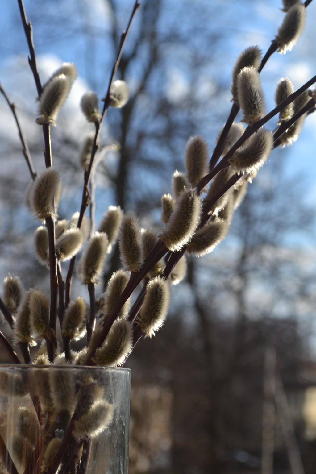 Сестре Лене