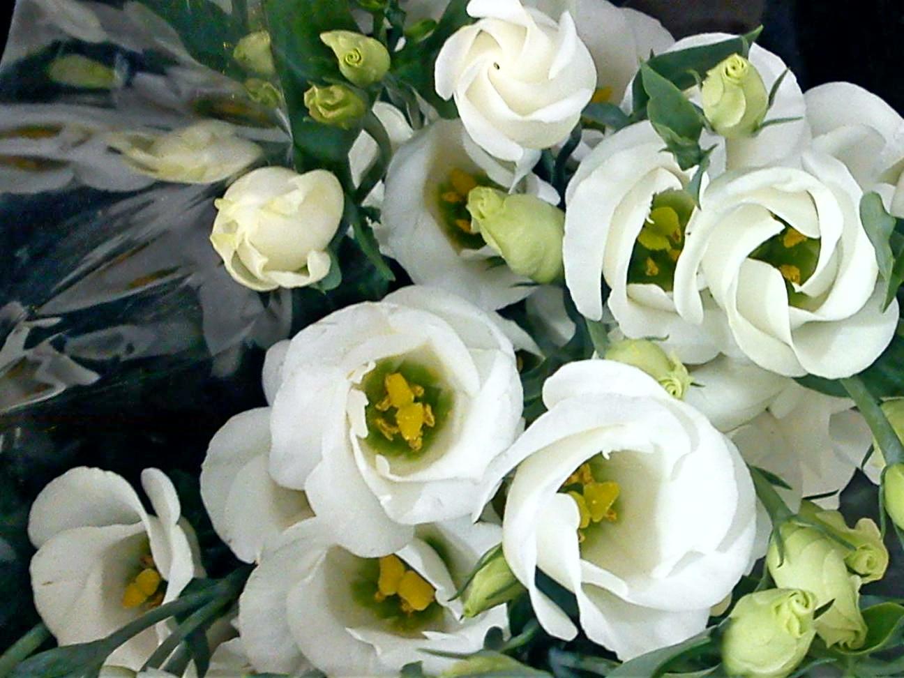 Притчи, глава 8 - перевод с иврита