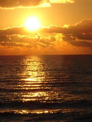 Балтийский мыслитель