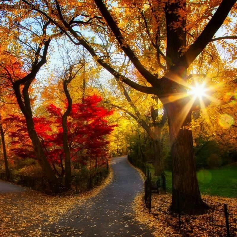 Прощальный танец журавля (на украинском языке)