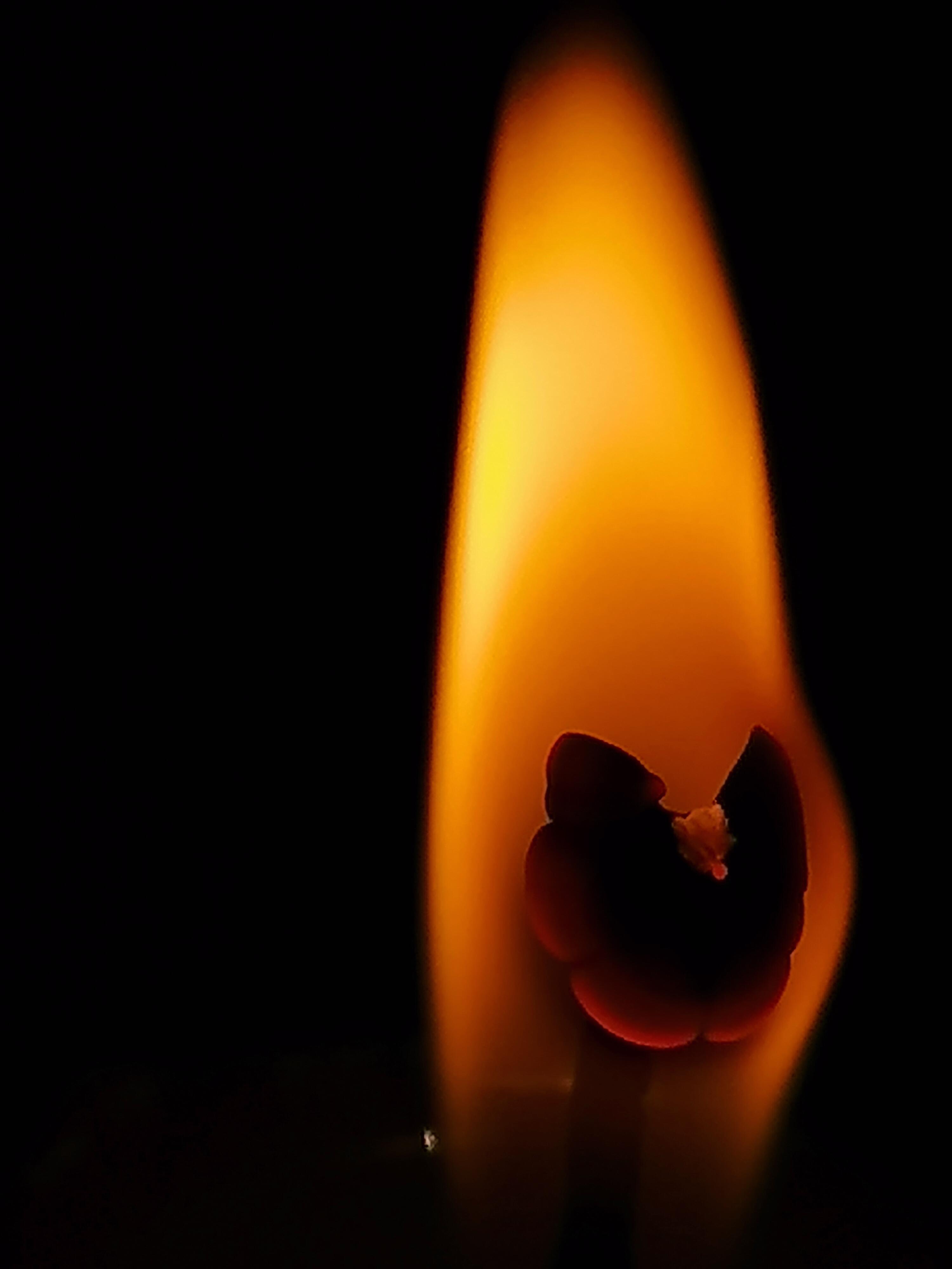 Ты уже Бог?! Караул!