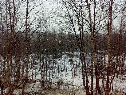 Зимние слёзы