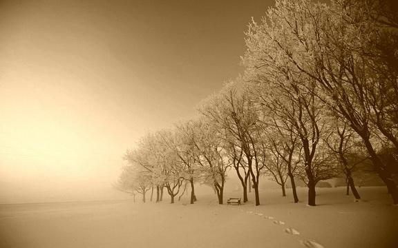 РЕСПИРАТОРНОЕ СЕКСИ