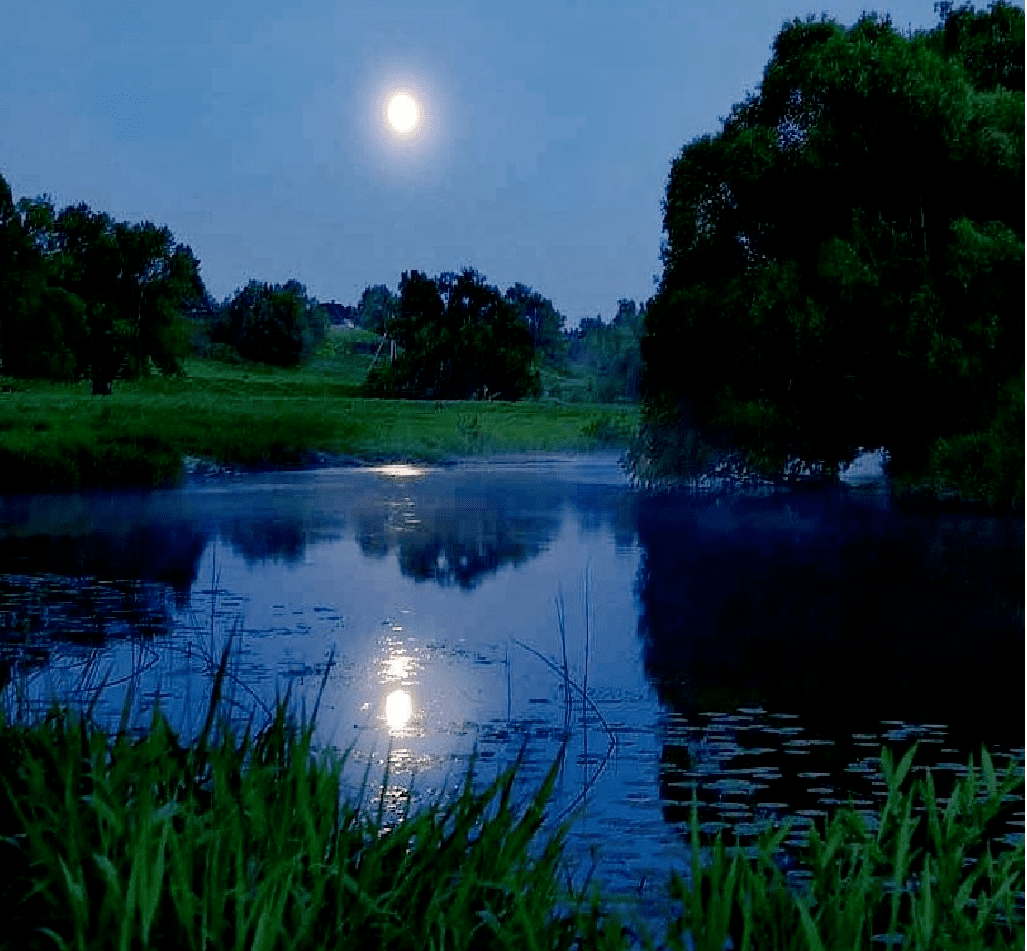 Тихий вечер вечер сине. Река ночью. Озеро ночью. Берег озера ночью. Летняя ночь.