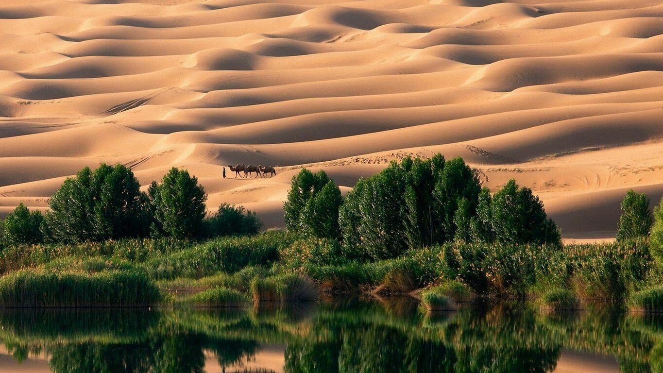 ПЕСНЯ "МИРАЖ" (ДУЭТ: АЗАМАТ ПХЕШХОВ. ФОТИНА)