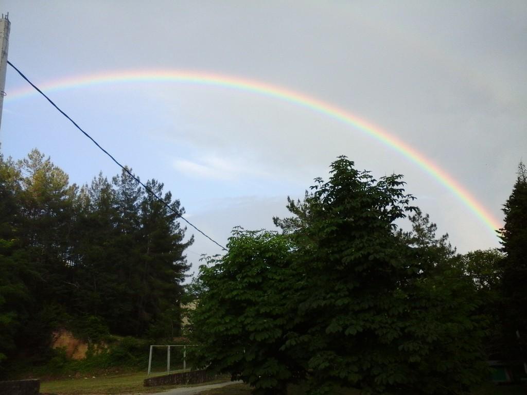 Книга Екклесиаста. Всё суета сует