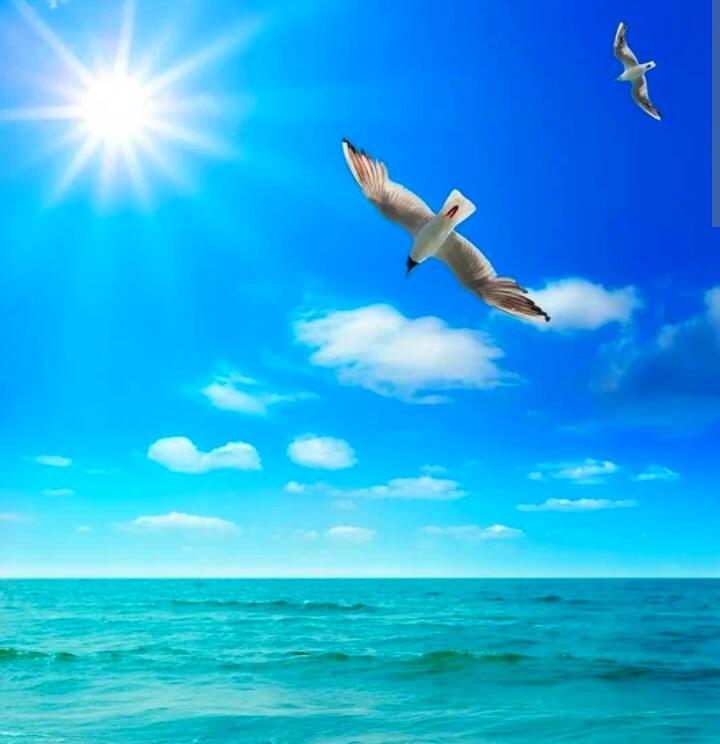 Волна любви