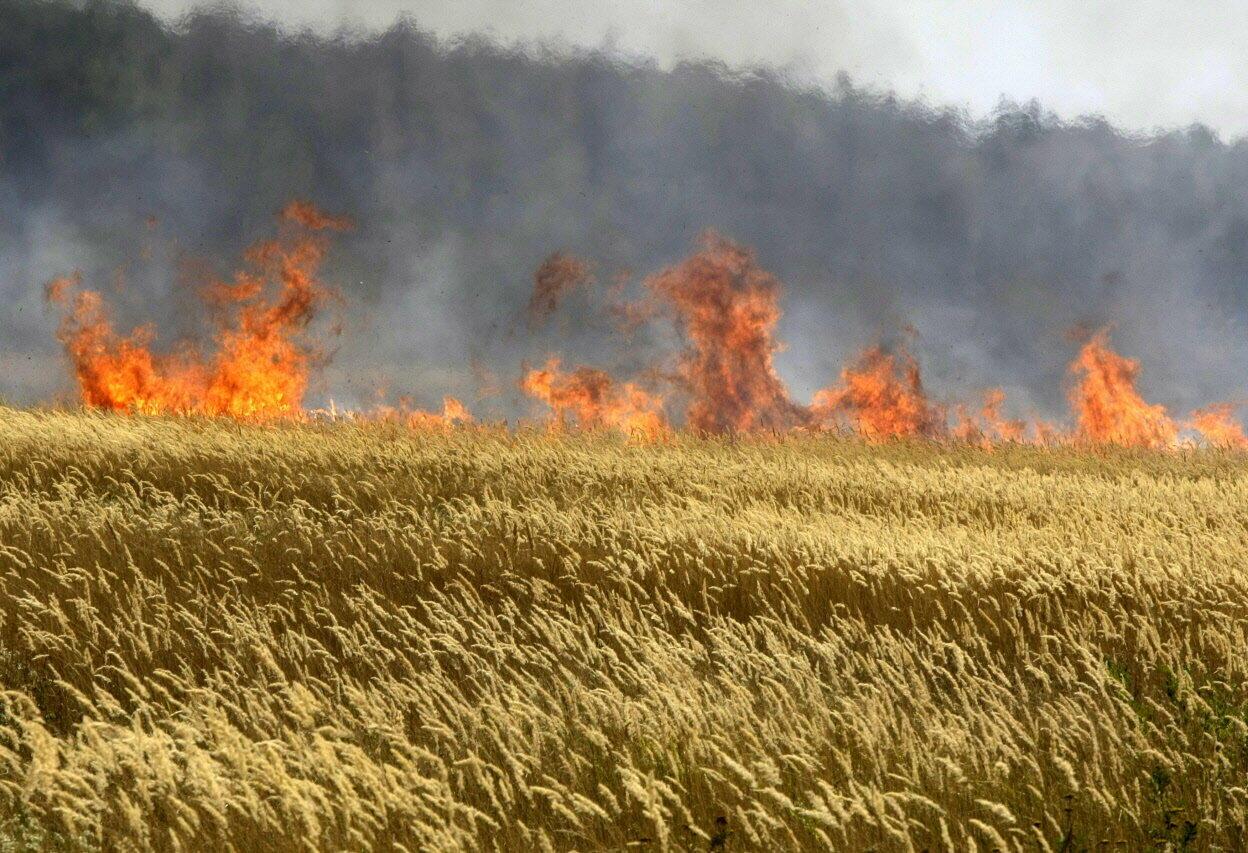 Огненная повесть