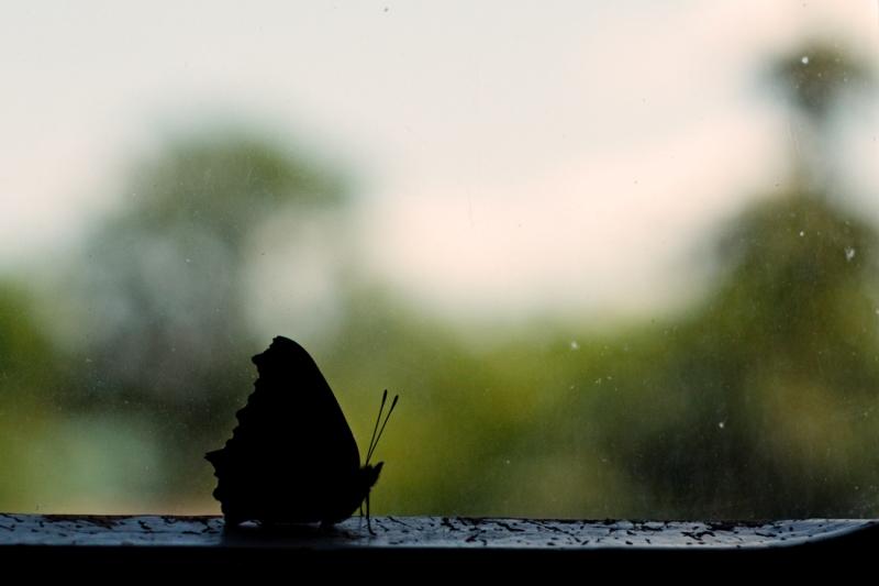 "Продрог (Музыка слёз)" (07.10.2014)