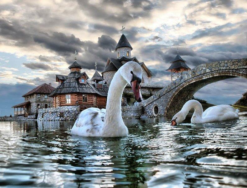 Среди безмолвной тишины