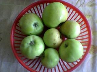 Прохладная грусть